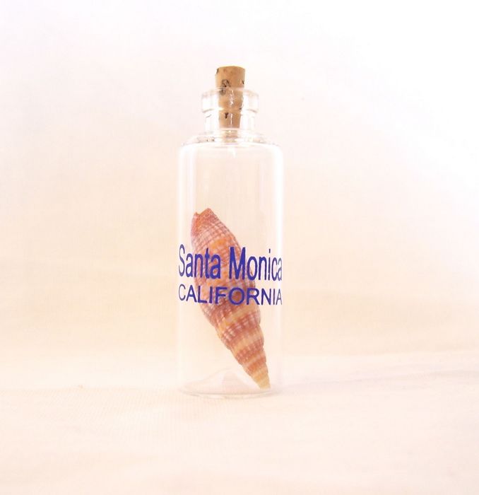 NGH104C Sea Shell in Mini GLASS Bottle With Custom Imprint